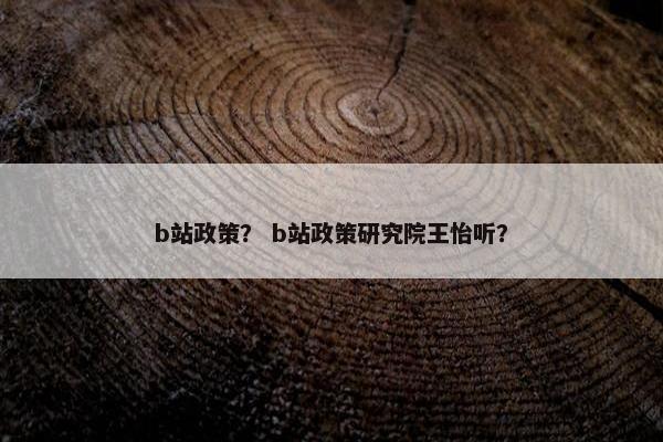 b站政策？ b站政策研究院王怡听？