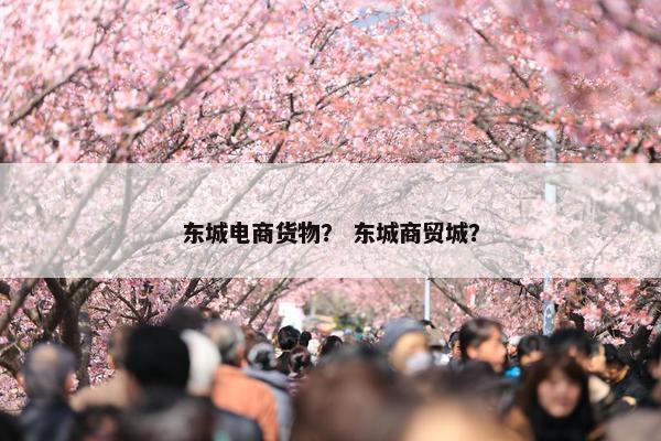 东城电商货物？ 东城商贸城？
