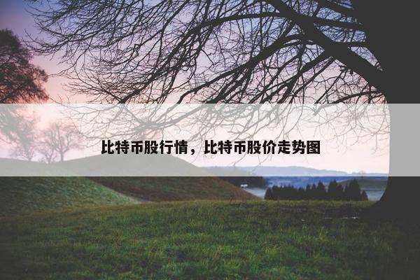 比特币股行情，比特币股价走势图