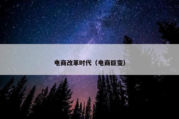 电商改革时代（电商巨变）