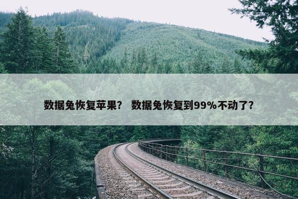 数据兔恢复苹果？ 数据兔恢复到99%不动了？