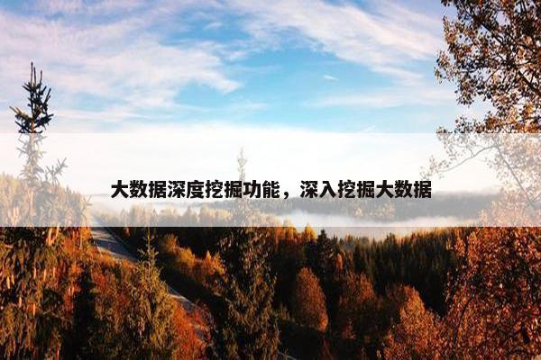 大数据深度挖掘功能，深入挖掘大数据