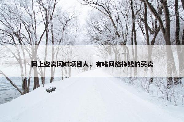 网上些卖网赚项目人，有啥网络挣钱的买卖