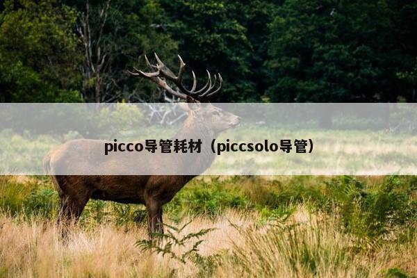 picco导管耗材（piccsolo导管）