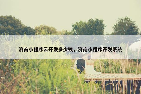 济南小程序云开发多少钱，济南小程序开发系统