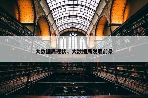 大数据局现状，大数据局发展前景