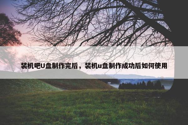 装机吧U盘制作完后，装机u盘制作成功后如何使用