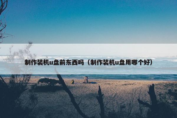 制作装机u盘前东西吗（制作装机u盘用哪个好）