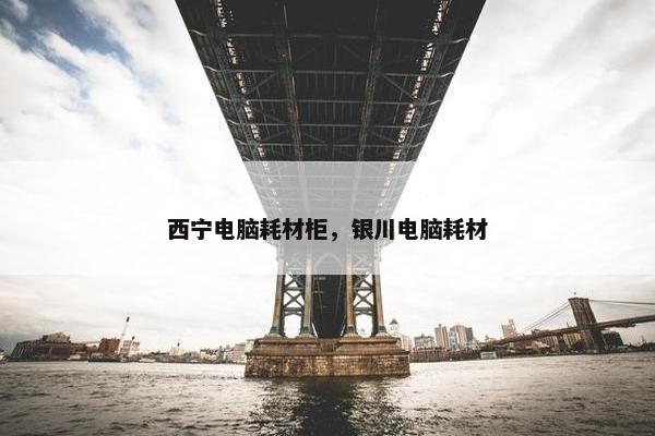 西宁电脑耗材柜，银川电脑耗材