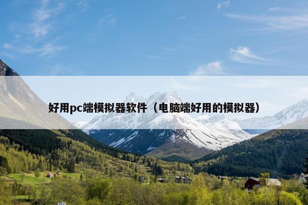 好用pc端模拟器软件（电脑端好用的模拟器）