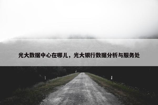 光大数据中心在哪儿，光大银行数据分析与服务处