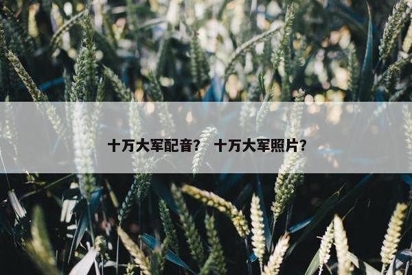十万大军配音？ 十万大军照片？