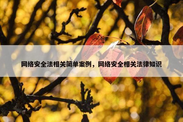 网络安全法相关简单案例，网络安全相关法律知识
