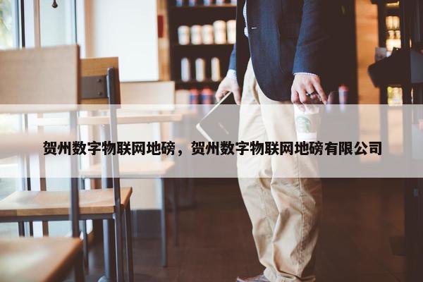 贺州数字物联网地磅，贺州数字物联网地磅有限公司