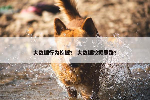 大数据行为挖掘？ 大数据挖掘思路？