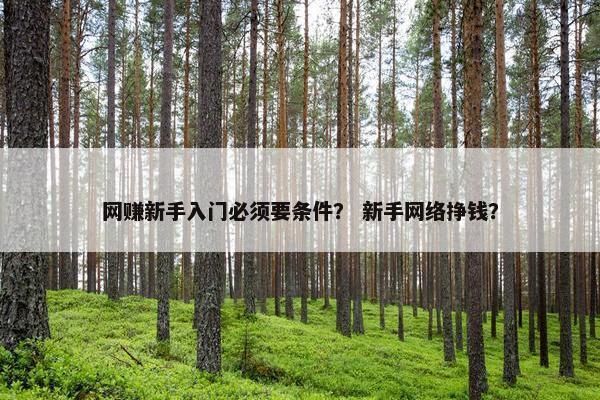 网赚新手入门必须要条件？ 新手网络挣钱？