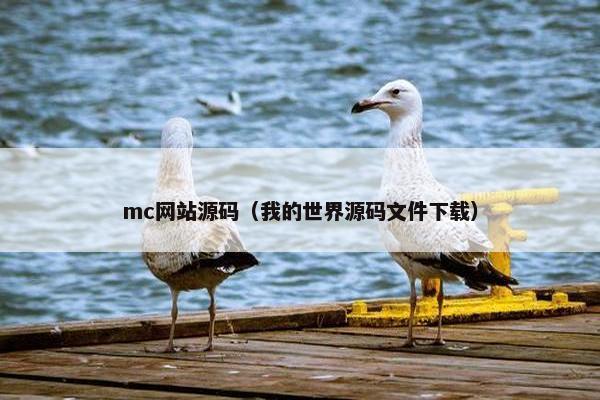 mc网站源码（我的世界源码文件下载）