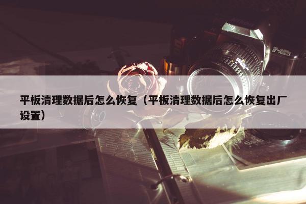 平板清理数据后怎么恢复（平板清理数据后怎么恢复出厂设置）