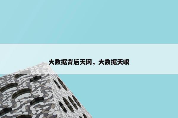 大数据背后天网，大数据天眼
