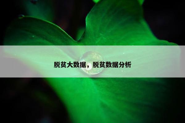 脱贫大数据，脱贫数据分析