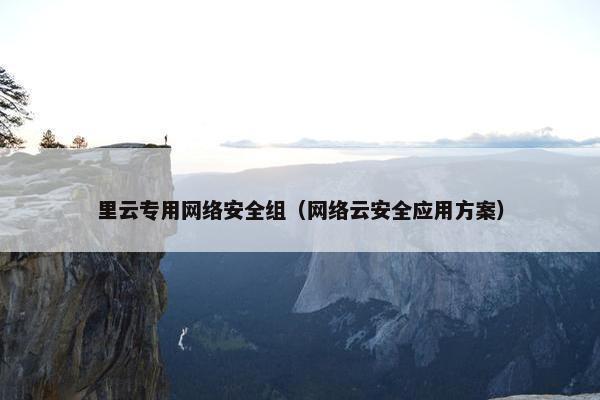 里云专用网络安全组（网络云安全应用方案）