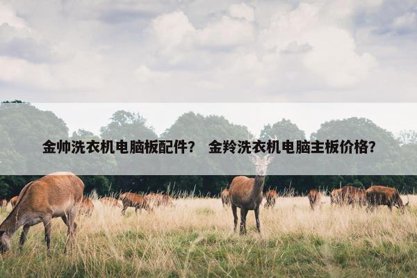 金帅洗衣机电脑板配件？ 金羚洗衣机电脑主板价格？