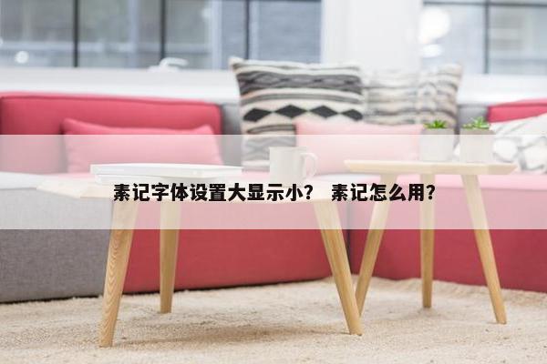 素记字体设置大显示小？ 素记怎么用？