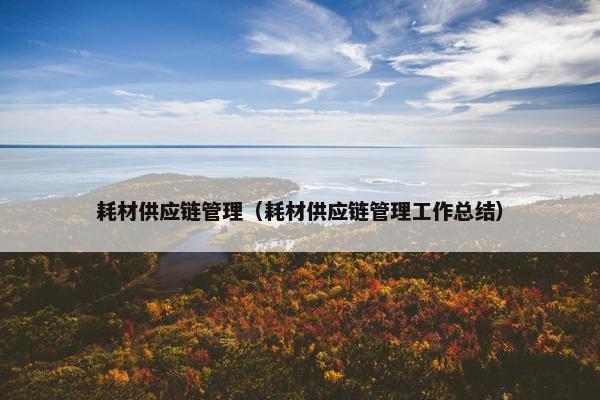耗材供应链管理（耗材供应链管理工作总结）