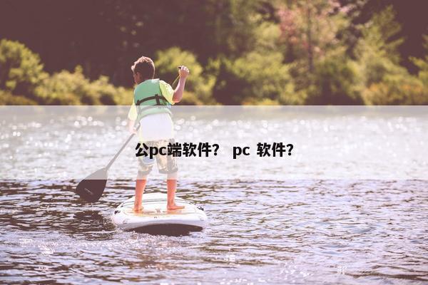 公pc端软件？ pc 软件？