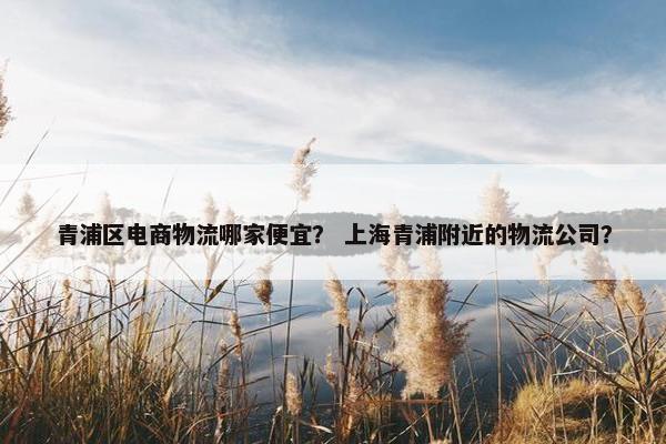 青浦区电商物流哪家便宜？ 上海青浦附近的物流公司？
