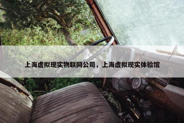 上海虚拟现实物联网公司，上海虚拟现实体验馆