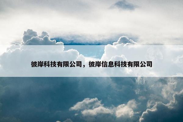 彼岸科技有限公司，彼岸信息科技有限公司