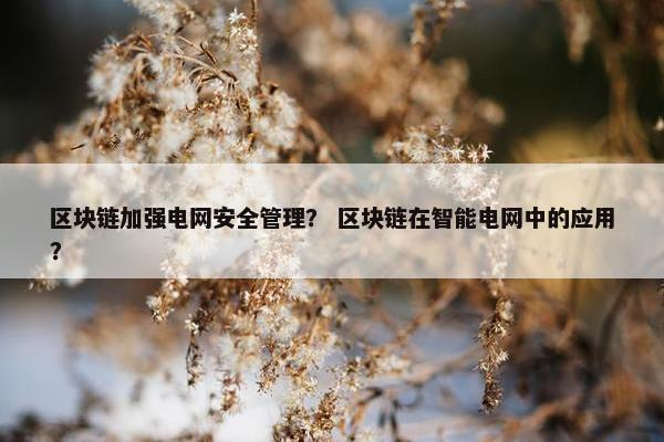 区块链加强电网安全管理？ 区块链在智能电网中的应用？