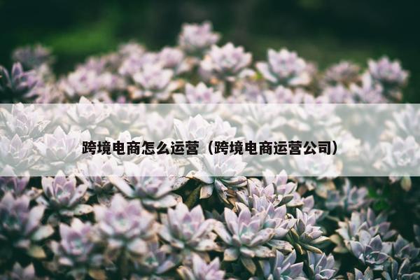 跨境电商怎么运营（跨境电商运营公司）