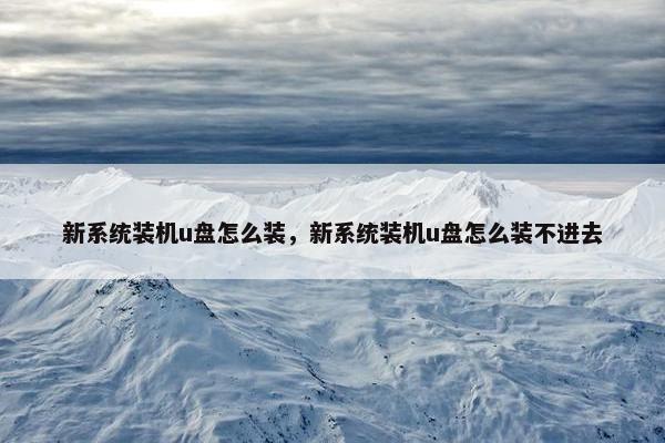 新系统装机u盘怎么装，新系统装机u盘怎么装不进去