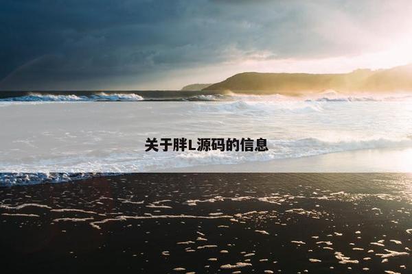 关于胖L源码的信息