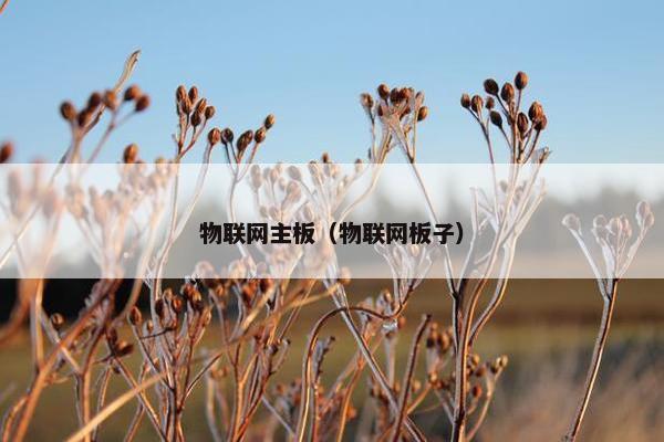 物联网主板（物联网板子）