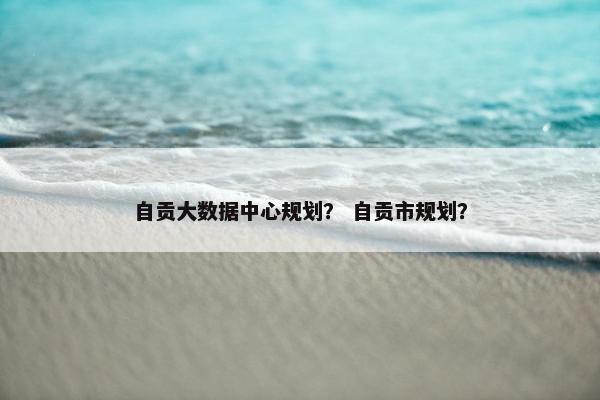 自贡大数据中心规划？ 自贡市规划？