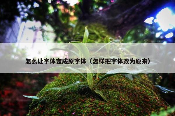 怎么让字体变成原字体（怎样把字体改为原来）