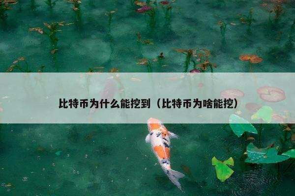 比特币为什么能挖到（比特币为啥能挖）