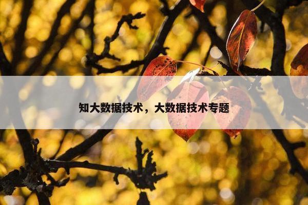 知大数据技术，大数据技术专题