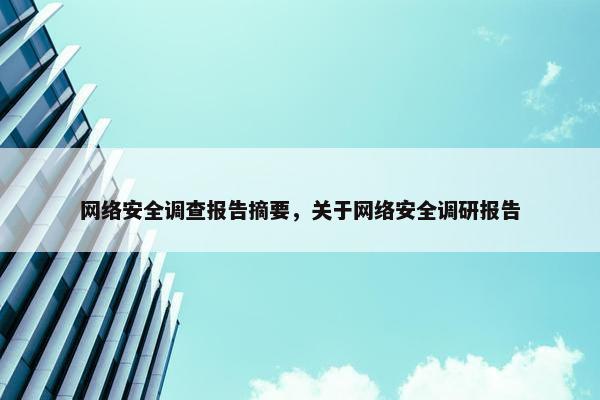 网络安全调查报告摘要，关于网络安全调研报告