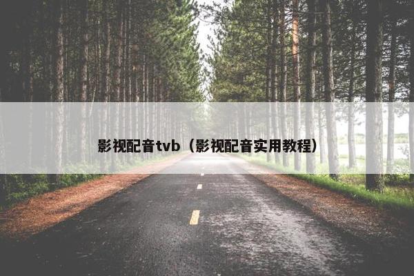 影视配音tvb（影视配音实用教程）