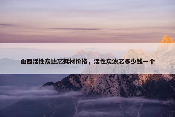 山西活性炭滤芯耗材价格，活性炭滤芯多少钱一个