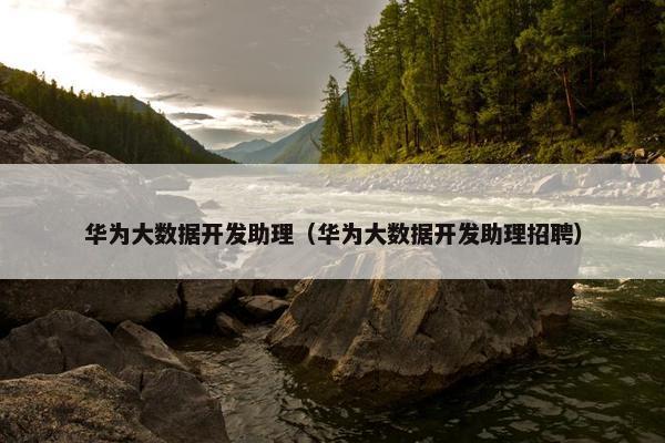 华为大数据开发助理（华为大数据开发助理招聘）
