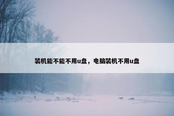 装机能不能不用u盘，电脑装机不用u盘