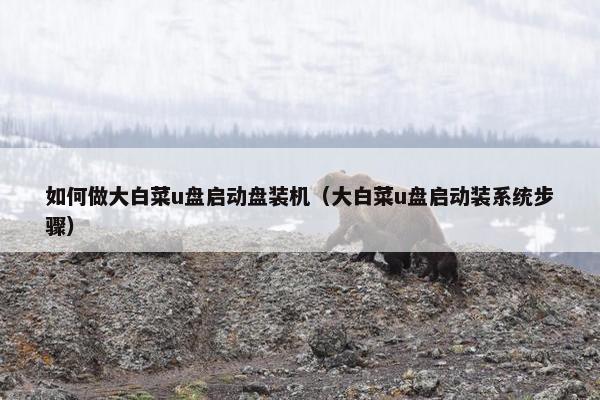 如何做大白菜u盘启动盘装机（大白菜u盘启动装系统步骤）
