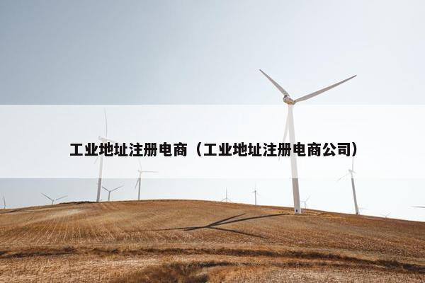 工业地址注册电商（工业地址注册电商公司）