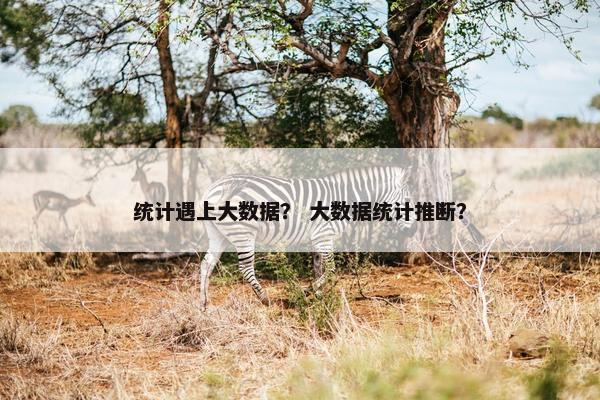 统计遇上大数据？ 大数据统计推断？