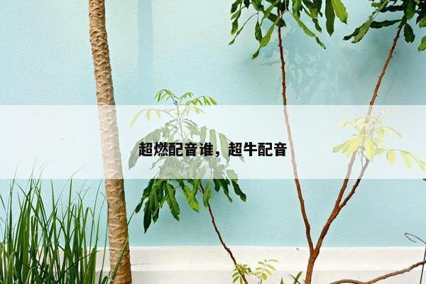 超燃配音谁，超牛配音